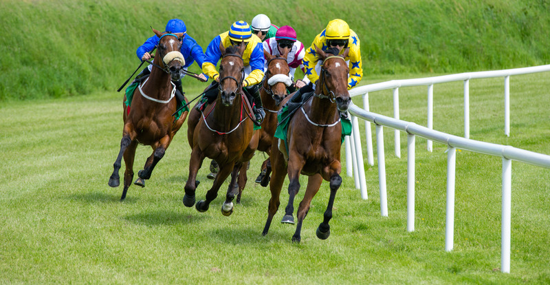 Horse Racing Online