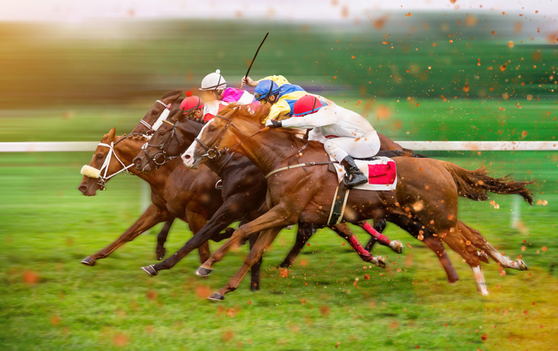 Online Horse Racing
