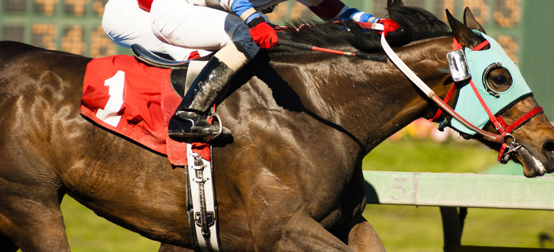 Horse Racing