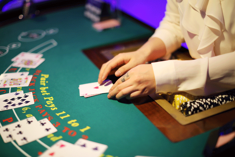 Winning in Live Dealer Casino