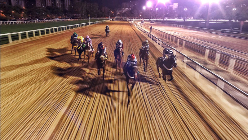 Horse Race Betting System