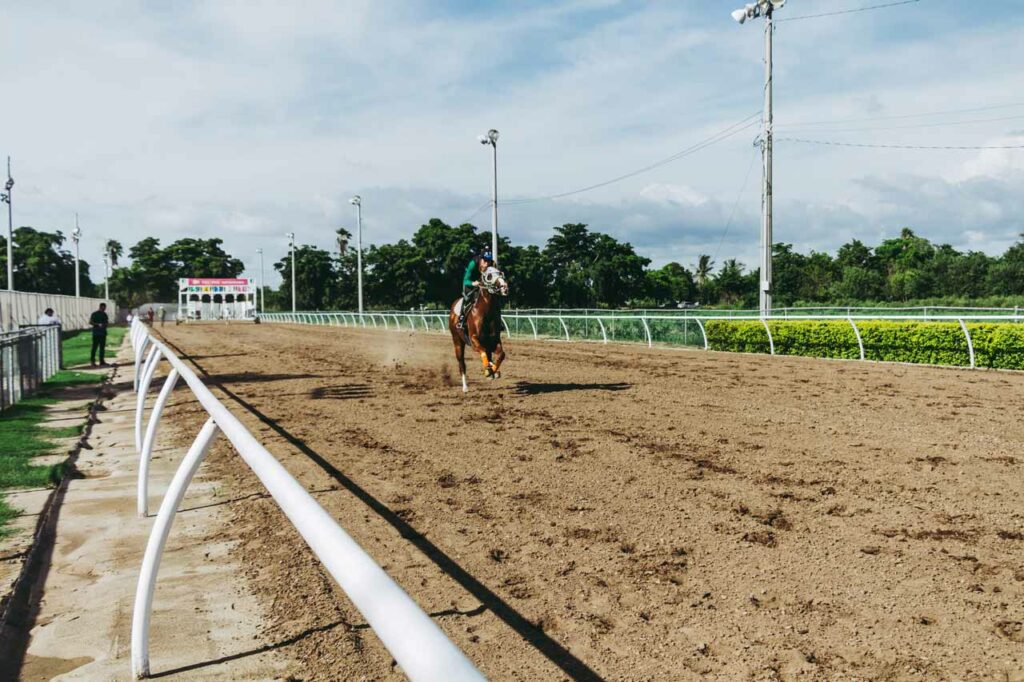 Online Sports Horse Race