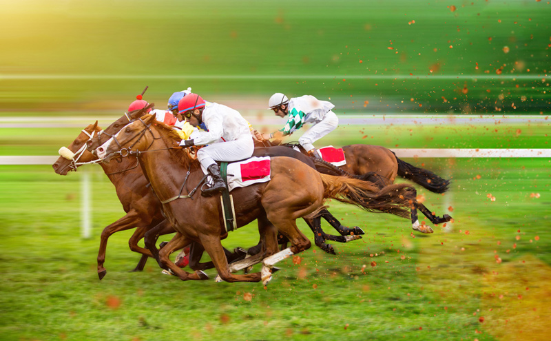 Online Betting in Horse Race