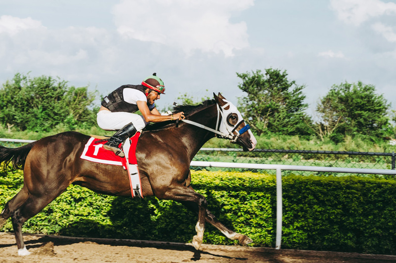 Sports Horse Racing