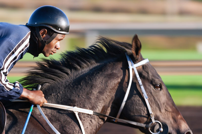 Online Horse Racing Betting