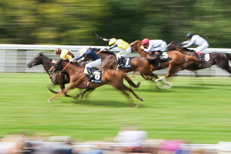 Common Mistakes in Horse Racing