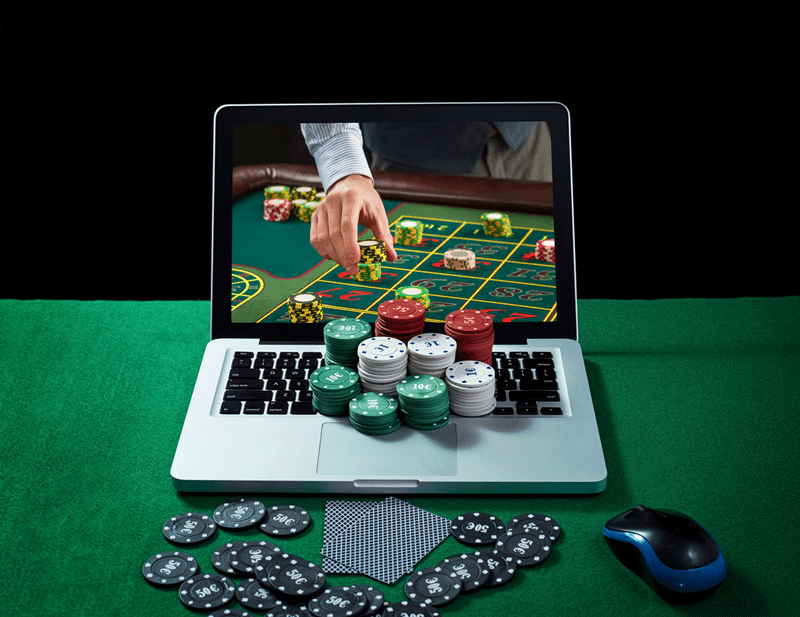 Players of Live Dealer Casino