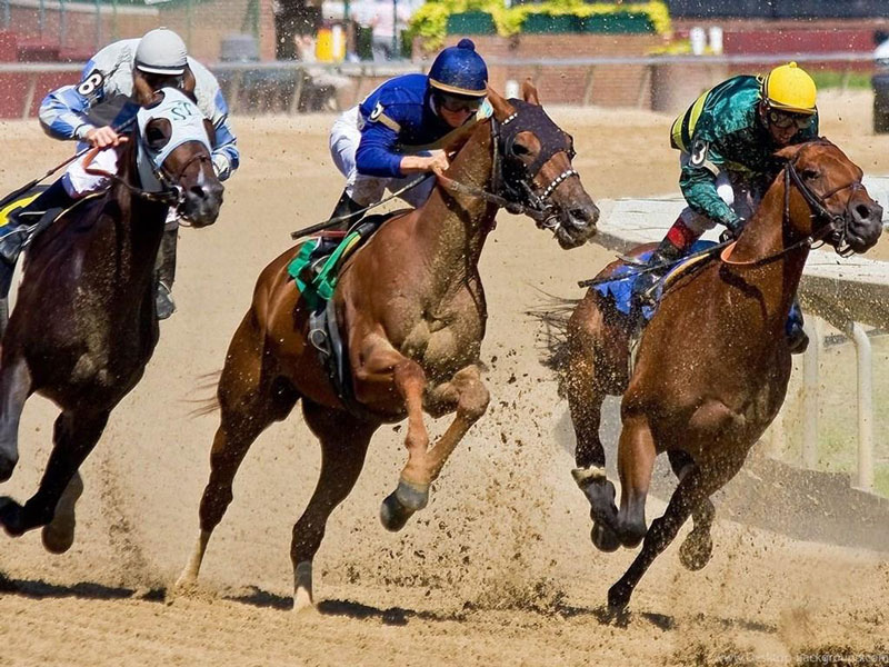 Money in Online Race Betting