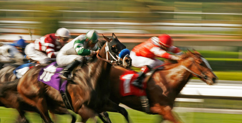 How Does Online Horse Racing Work