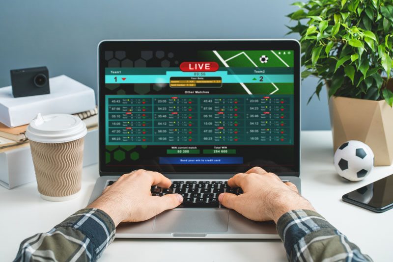 Top Online Sportsbooks