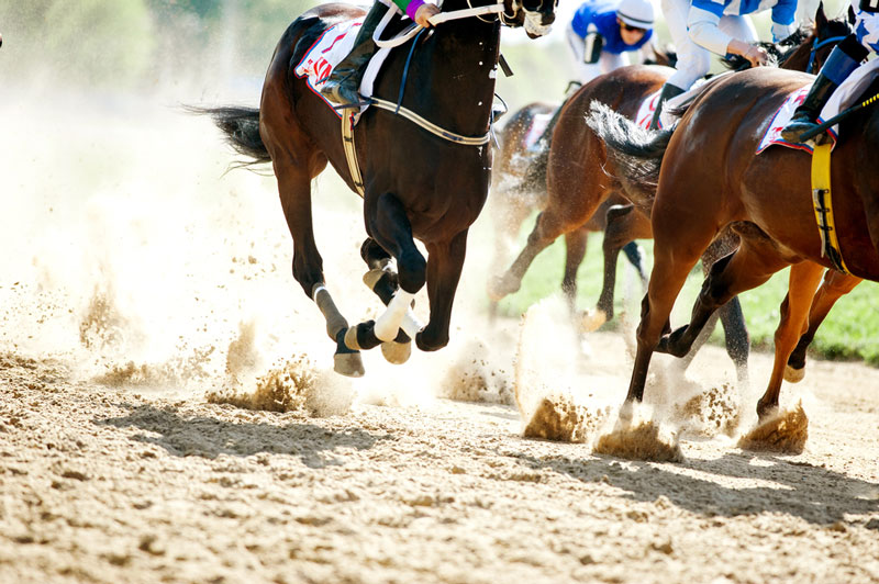 Drawbacks of Horse Racing Betting