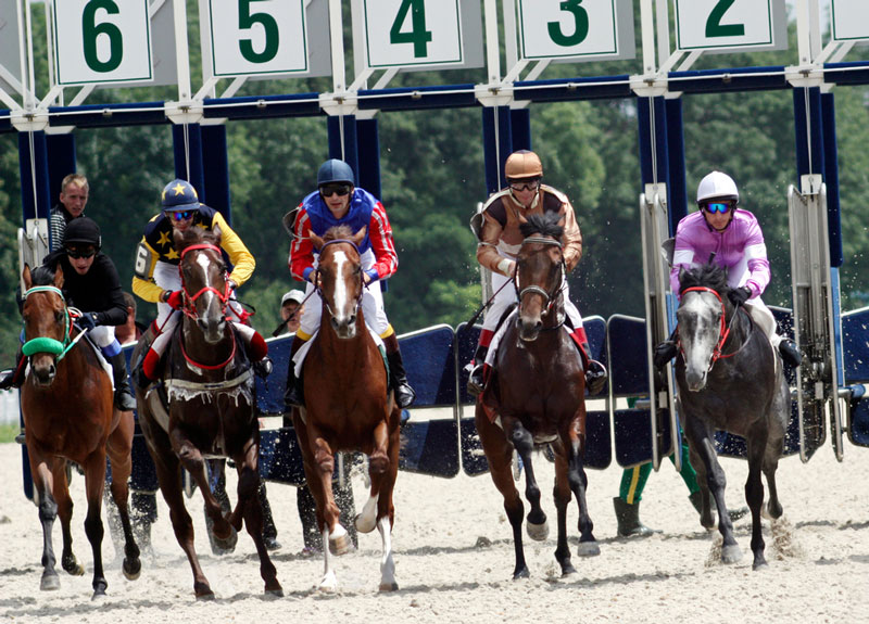 Betting On Horse Races