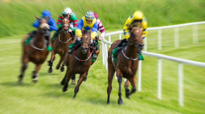 Horse Race Betting Apps