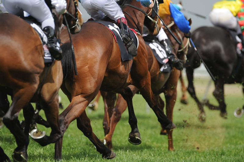 Horse Betting Strategies