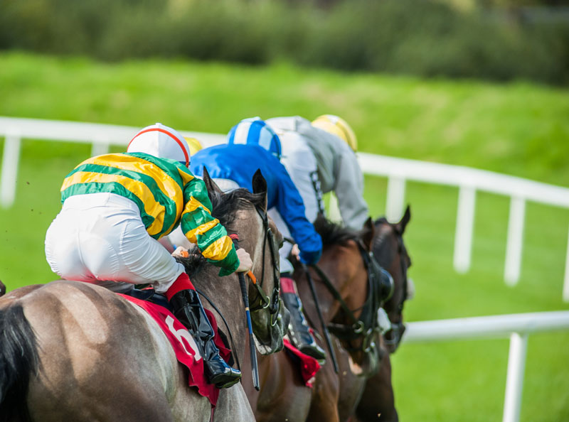 Is Horse Race Betting Addicting?