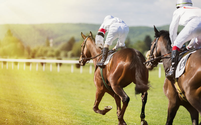 Making Smarter Bets