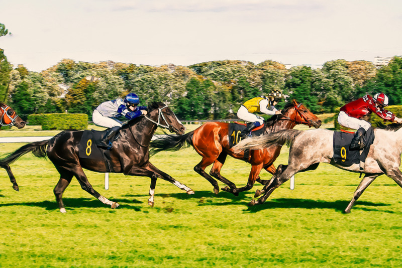 Horse Race Betting Sites