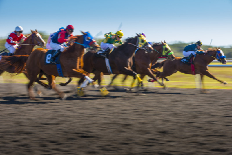 Online Horse Racing Bet