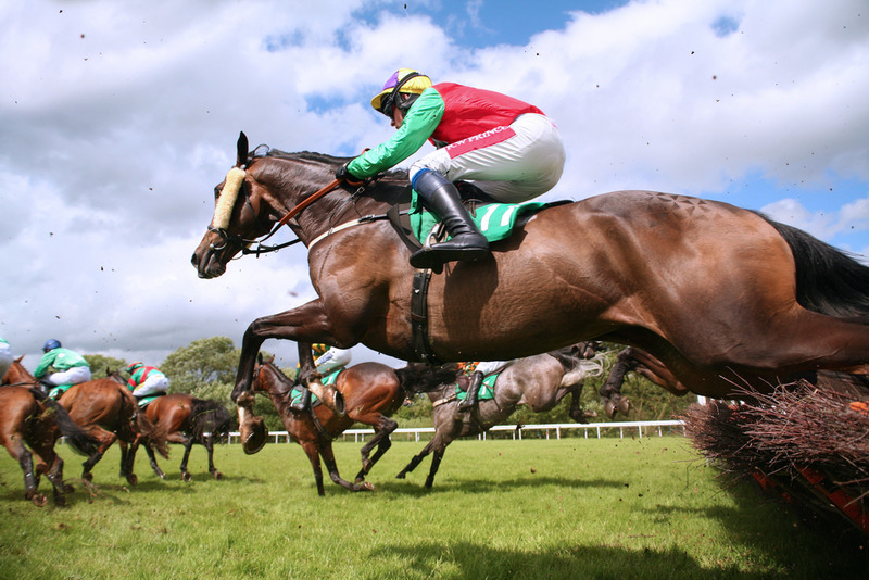 Tips For Horse Race Betting Online